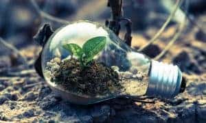 Read more about the article Carbon Footprints